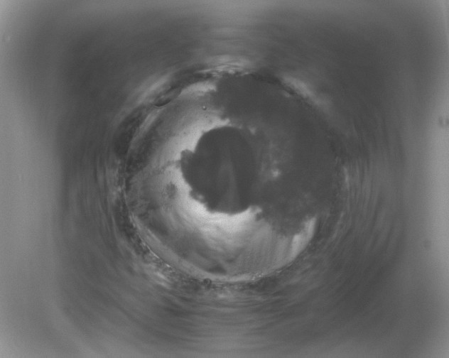 X0000081611399200701291415