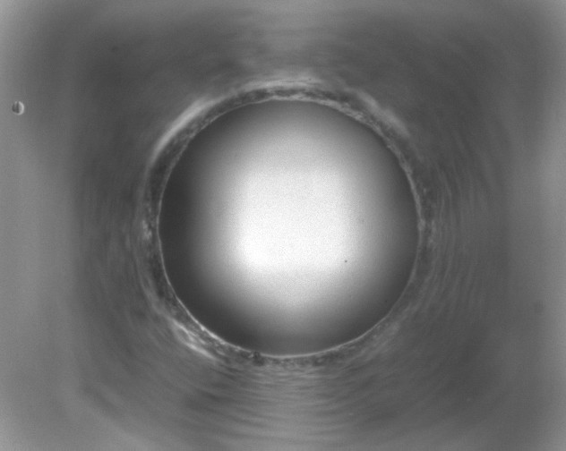 X0000081611400200701291415