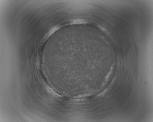 X0000081611401200701291415