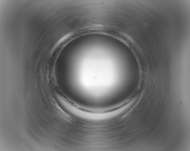 X0000081611402200701291415