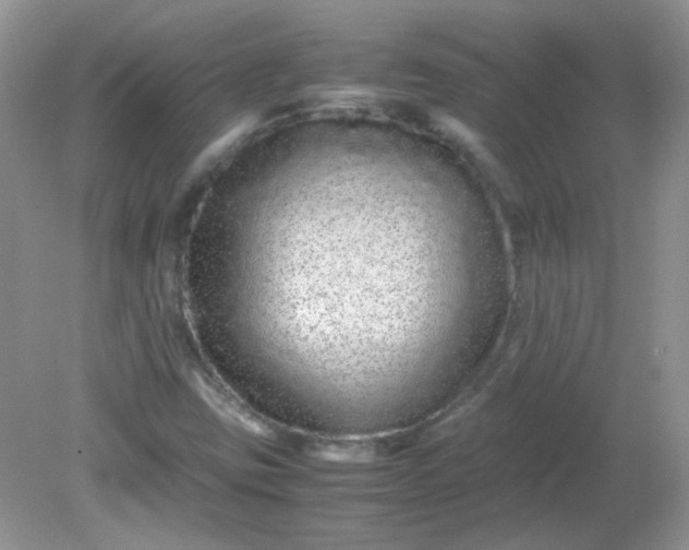 X0000081611403200701291415