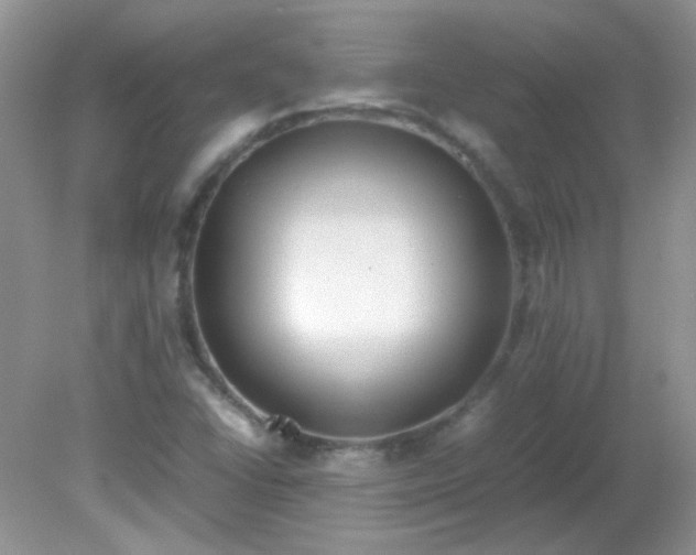 X0000081611406200701291415