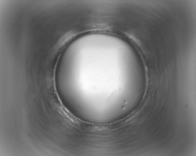 X0000081611407200701291415