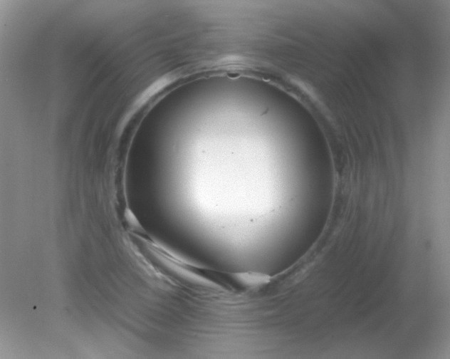 X0000081611410200701291415