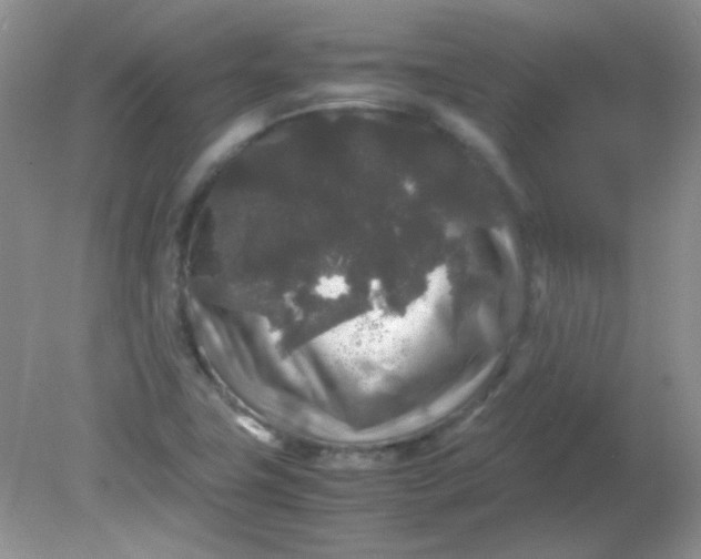 X0000081611411200701291415