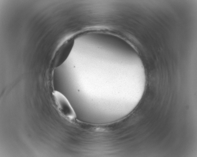 X0000081611412200701291415