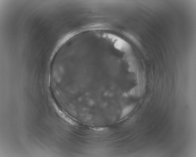 X0000081611413200701291415