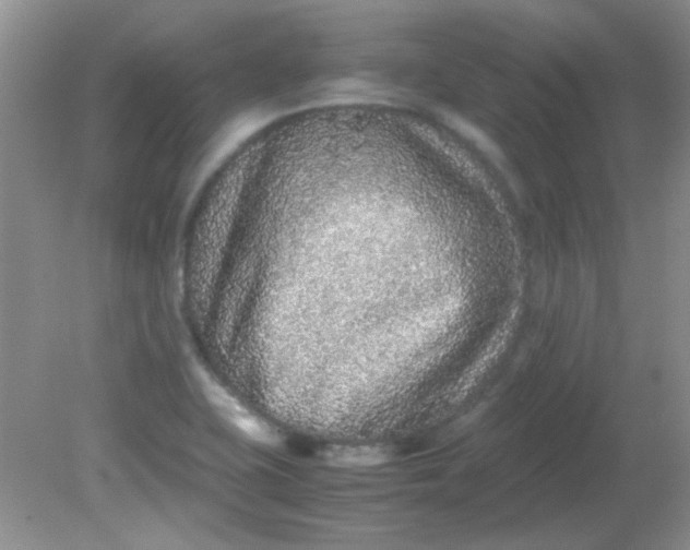 X0000081611415200701291415