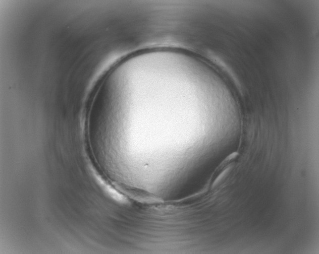 X0000081611416200701291415