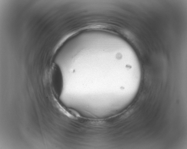 X0000081611417200701291415