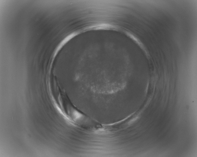 X0000081611418200701291415