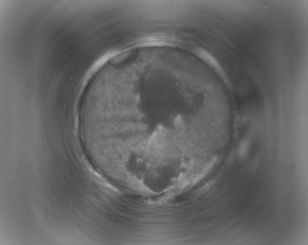 X0000081611419200701291415