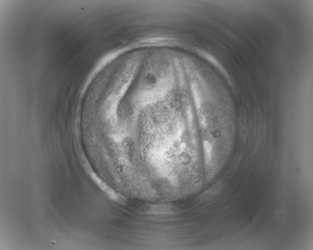 X0000081611421200701291415