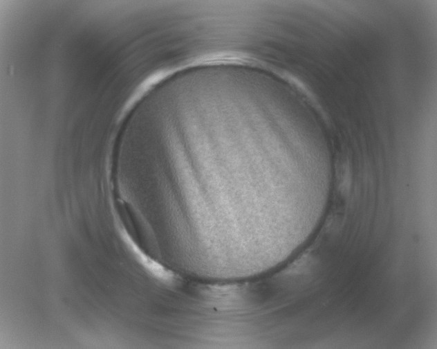 X0000081611422200701291415