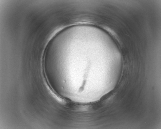 X0000081611423200701291415