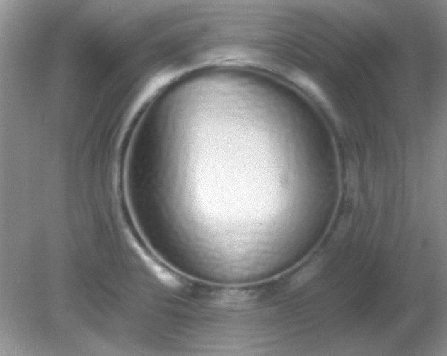 X0000081611424200701291415