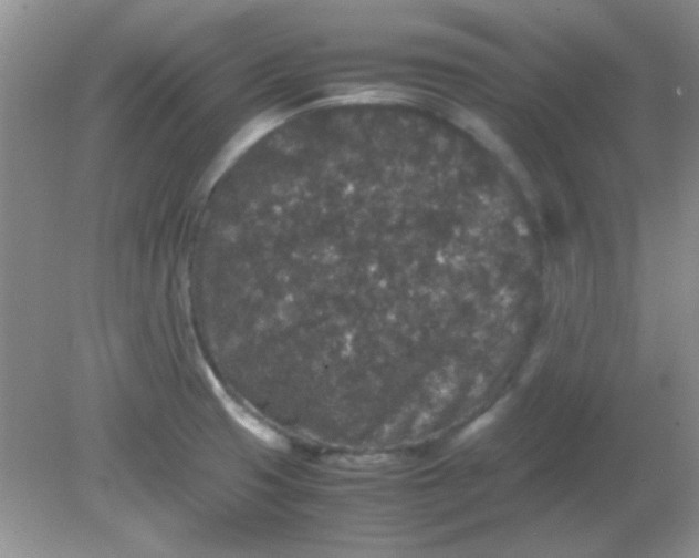 X0000081611425200701291415