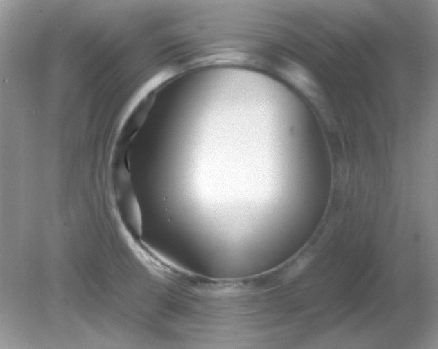 X0000081611426200701291415