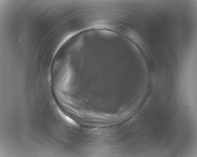 X0000081611428200701291415