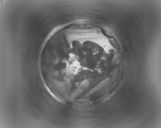 X0000081611429200701291415