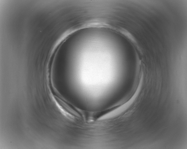 X0000081611430200701291415