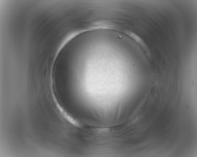 X0000081611431200701291415