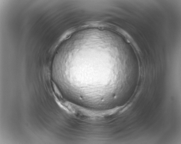 X0000081611433200701291415