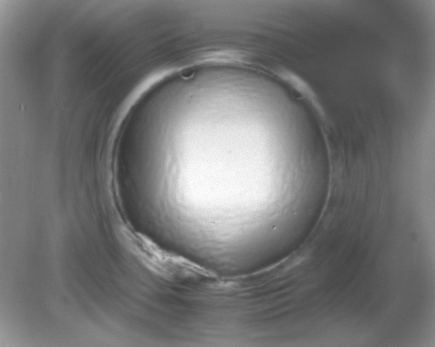 X0000081611435200701291416