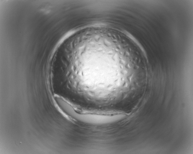 X0000081611437200701291416