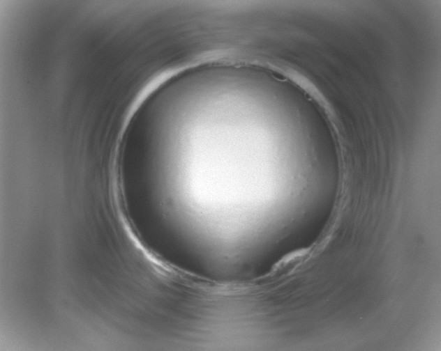 X0000081611440200701291416