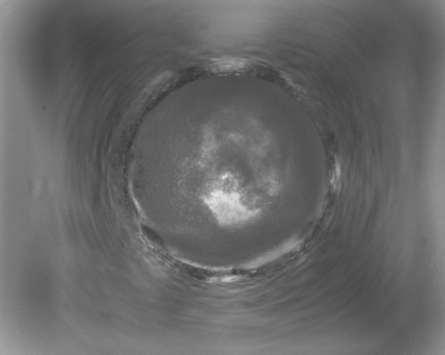 X0000081611441200701291415