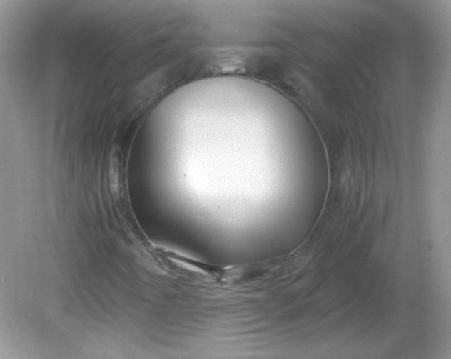 X0000081611442200701291415