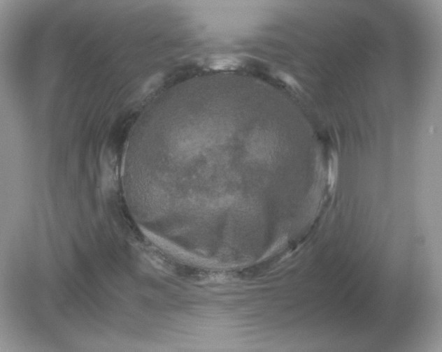 X0000081611443200701291415