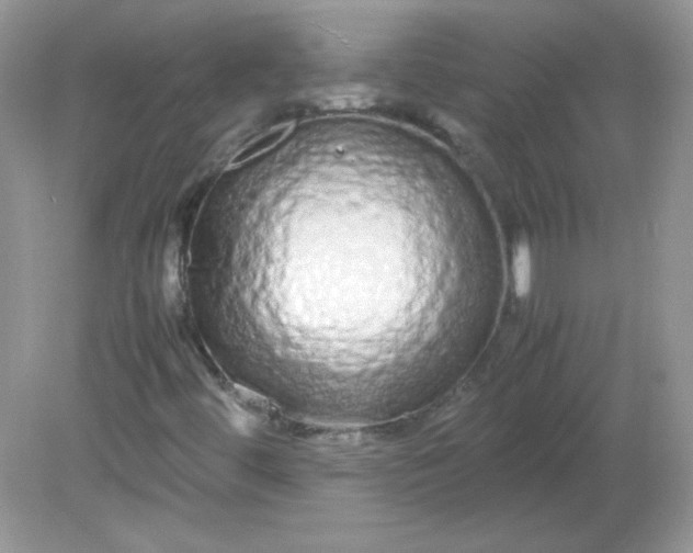 X0000081611444200701291415