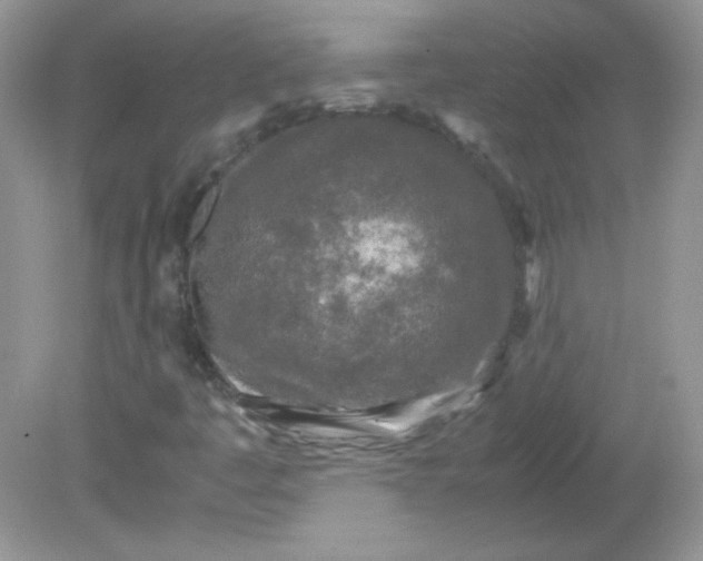 X0000081611445200701291415