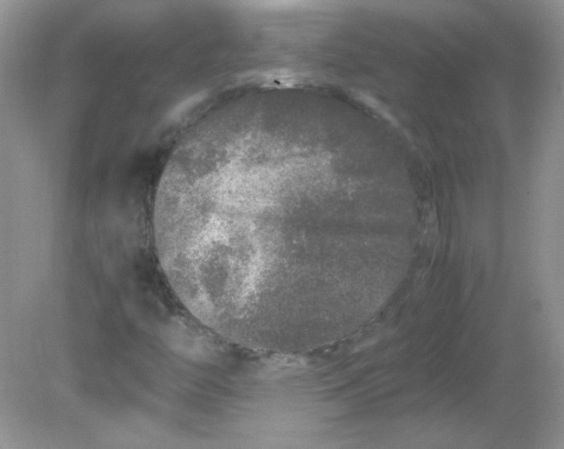 X0000081611446200701291415