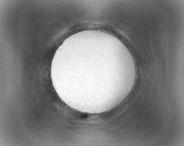 X0000081611447200701291415