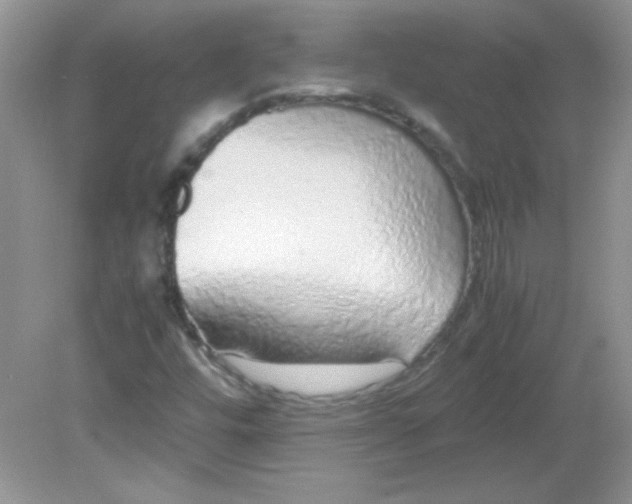 X0000081611448200701291415