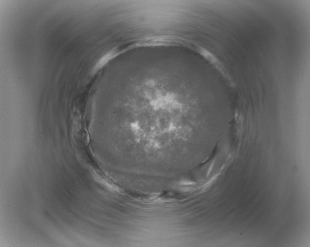 X0000081611449200701291415