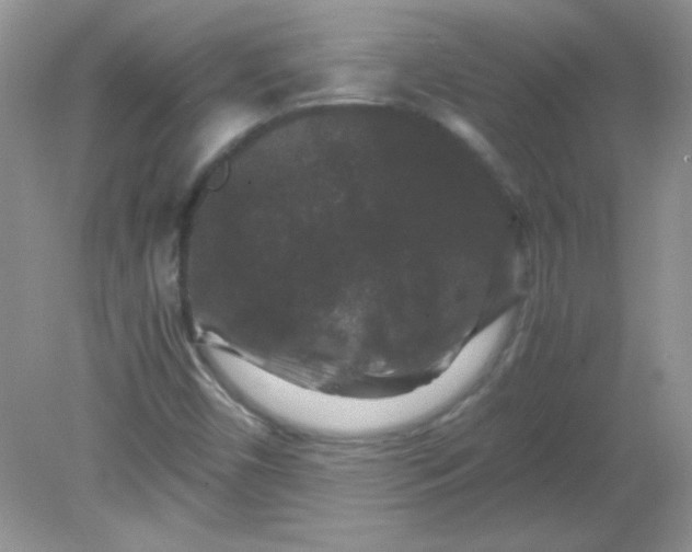 X0000081611450200701291415