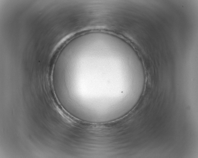 X0000081611452200701291415