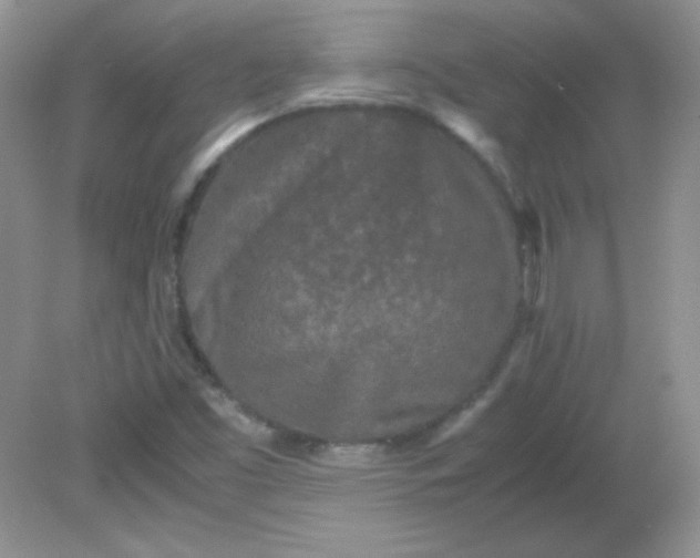 X0000081611453200701291415