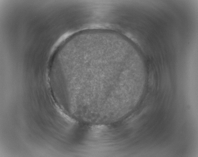 X0000081611454200701291415