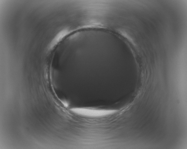 X0000081611455200701291415