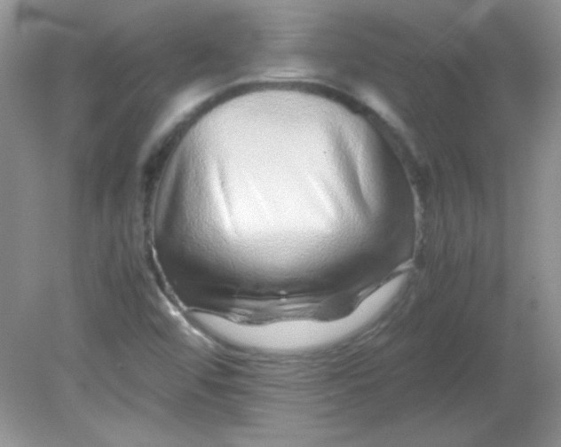 X0000081611456200701291415