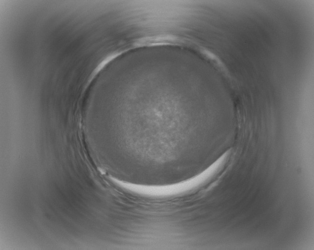 X0000081611457200701291415