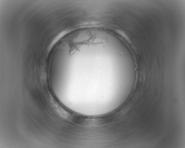 X0000081611458200701291415