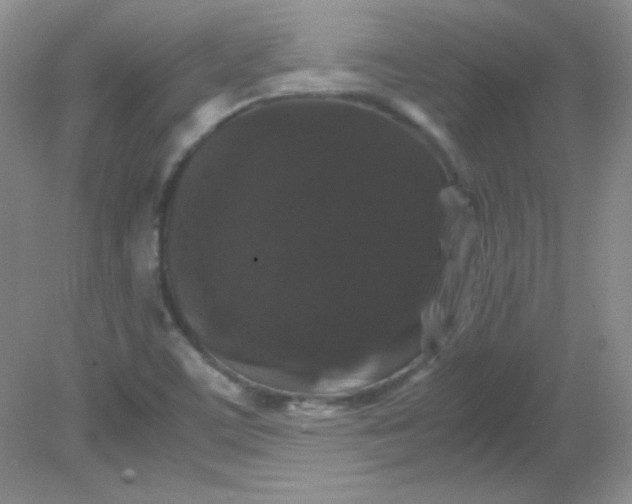 X0000081611459200701291414