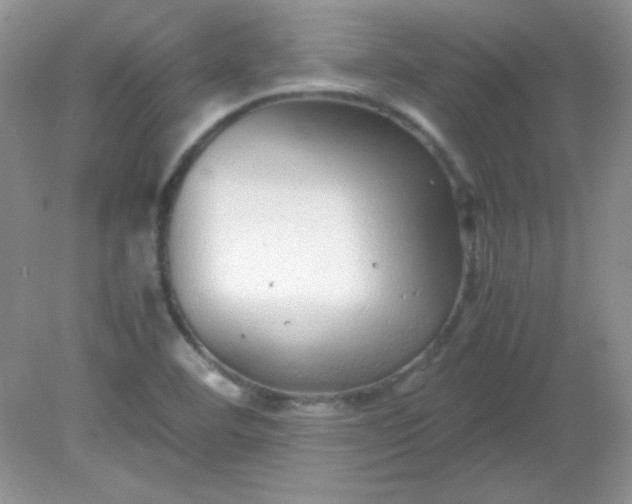 X0000081611460200701291414