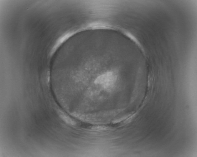 X0000081611461200701291414